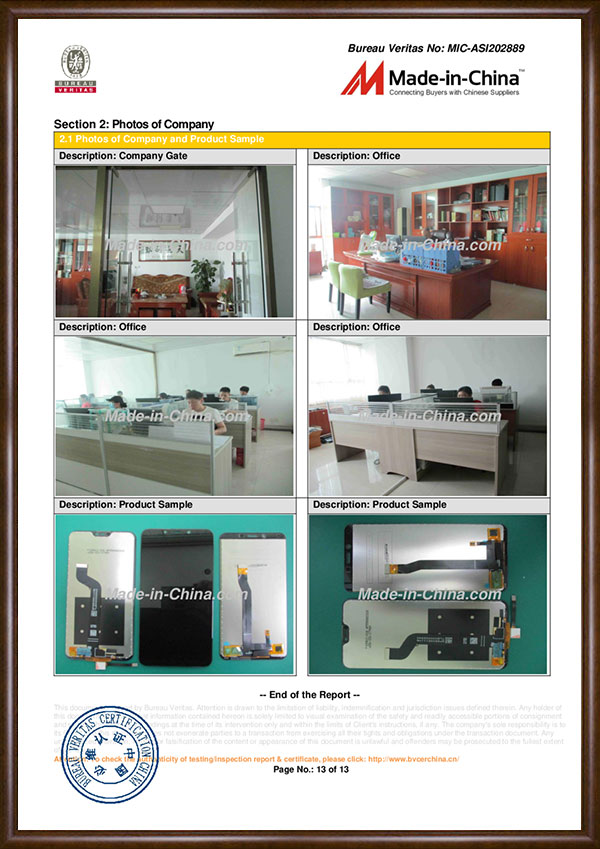 232175129228185166MIC-ASI202889 (12)